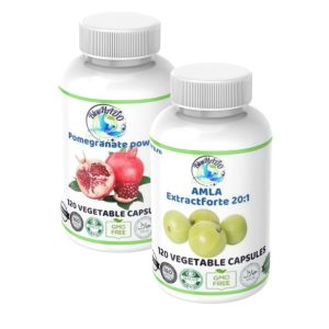 DigestGuard Plus – Suport Natural pentru Sistemul Digestiv Cu extracte concentrate de Amla și Rodie